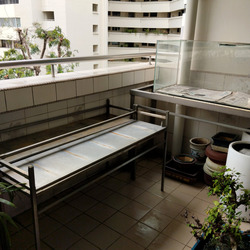 Ivory Heights (D22), Condominium #543067641